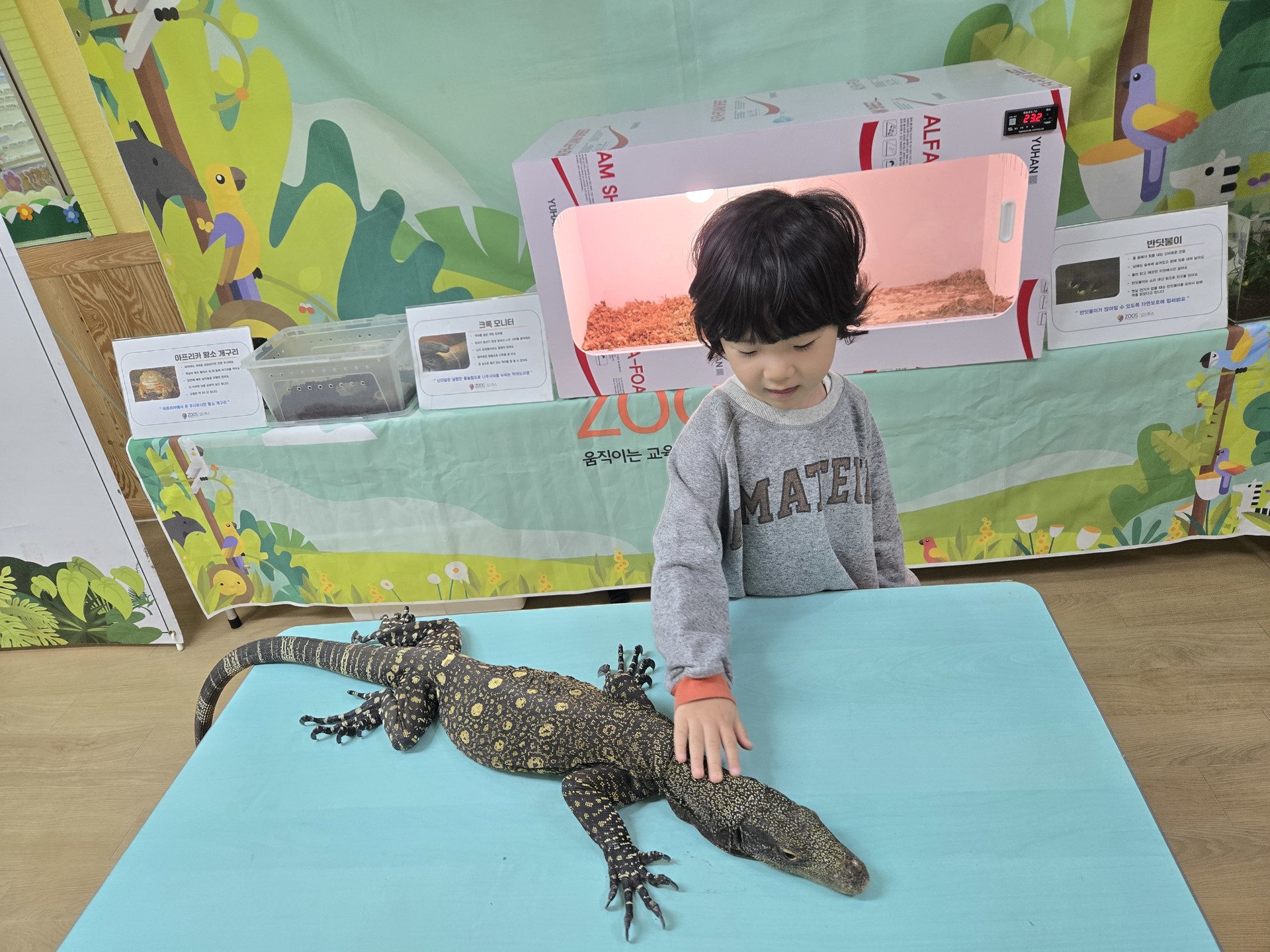 파충류의 생김새를 가까이에서 살펴보는 시간