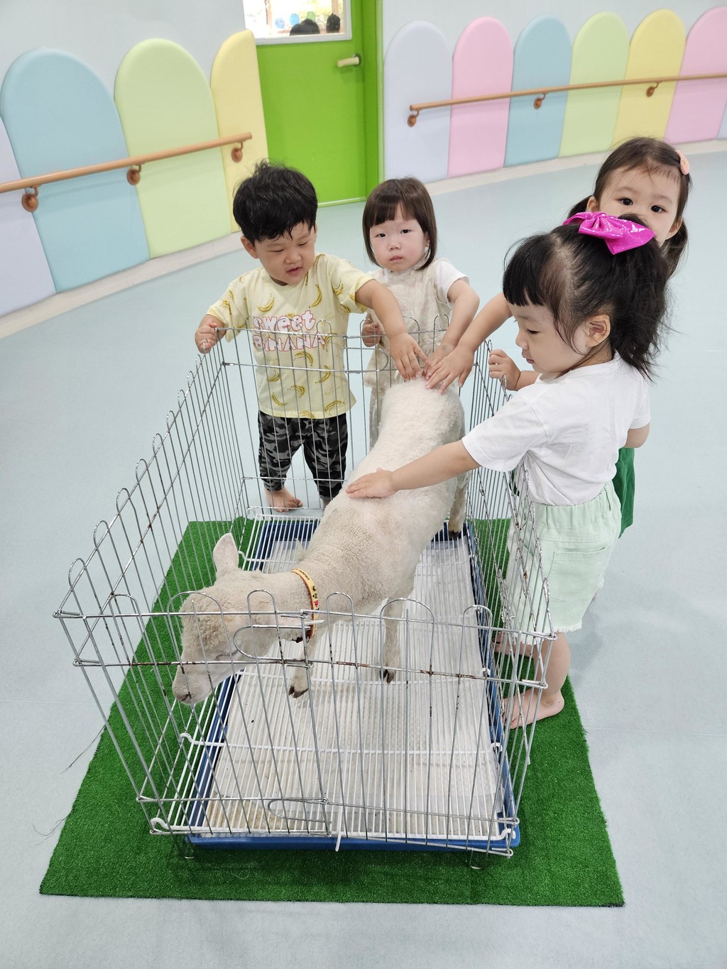 실제 교실 생태수업 사진 5